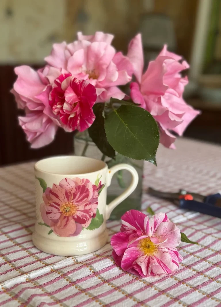 emma bridgewater rose